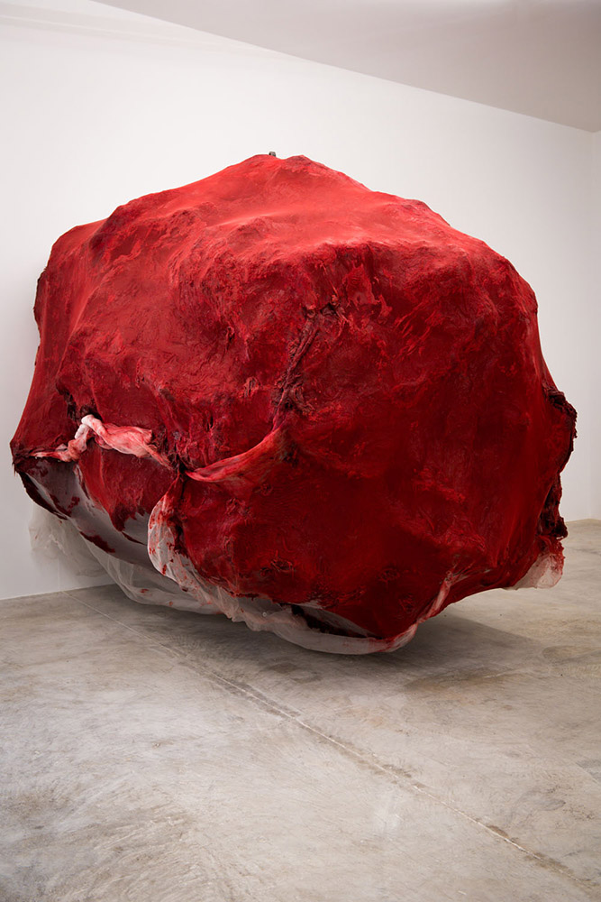 Anish Kapoor - 